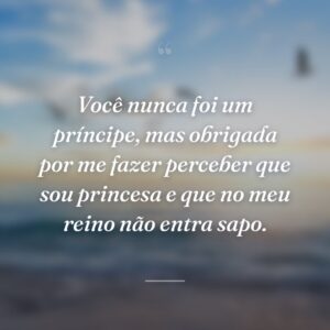 Você nunca foi um príncipe, mas obrigada por me fazer perceber que sou princesa e que no meu reino não entra sapo.