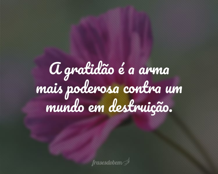 A gratidão é a arma mais poderosa contra um mundo em destruição.