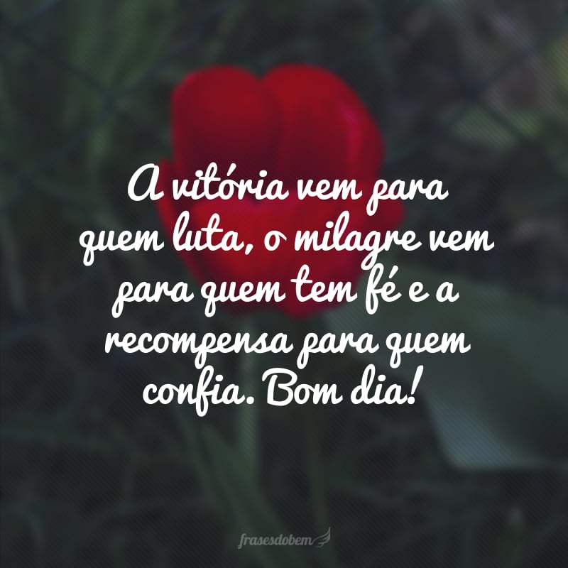 A vitória vem para quem luta, o milagre vem para quem tem fé e a recompensa para quem confia. Bom dia!