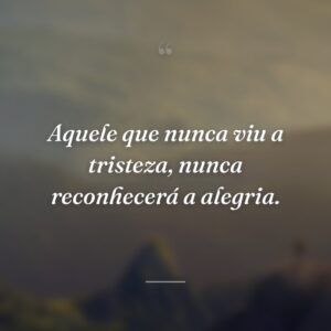 Aquele que nunca viu a tristeza, nunca reconhecerá a alegria.