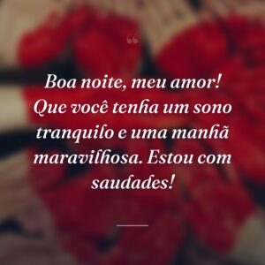 Boa noite, meu amor! Que você tenha um sono tranquilo e uma manhã maravilhosa. Estou com saudades!