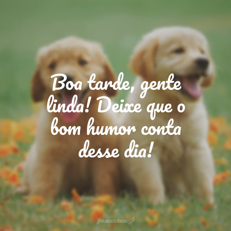 Boa tarde, gente linda! Deixe que o bom humor conta desse dia!