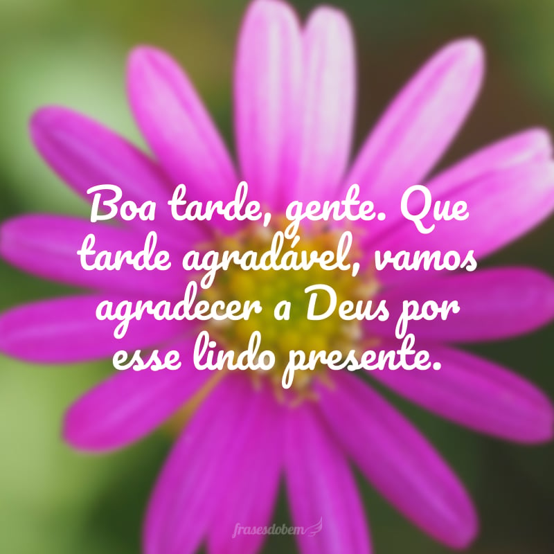 Featured image of post Frases De Boa Tarde De Deus Boa tarde com todo meu carinho