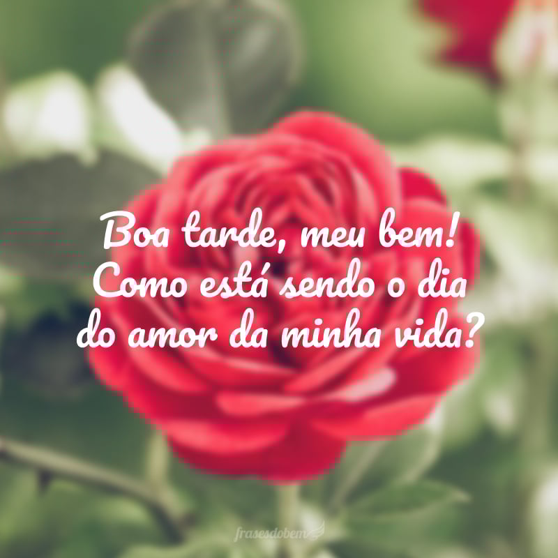 Boa tarde, meu bem! Como está sendo o dia do amor da minha vida?