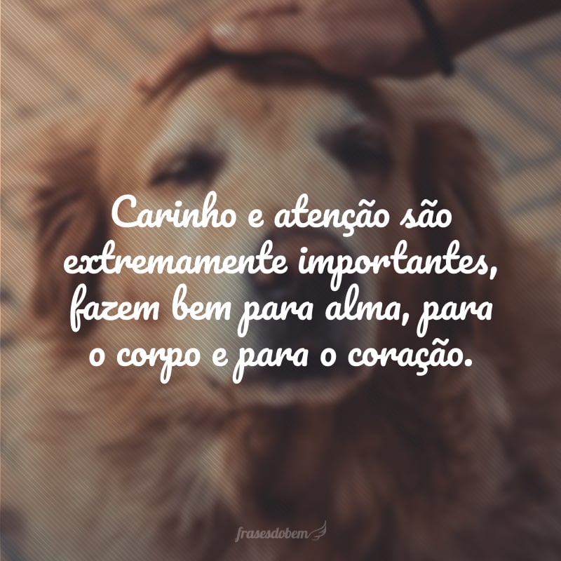 Carinho e atenção são extremamente importantes, fazem bem para alma, para o corpo e para o coração.