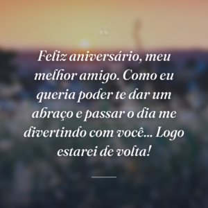 Feliz aniversário, meu melhor amigo. Como eu queria poder te dar um abraço e passar o dia me divertindo com você... Logo estarei de volta!