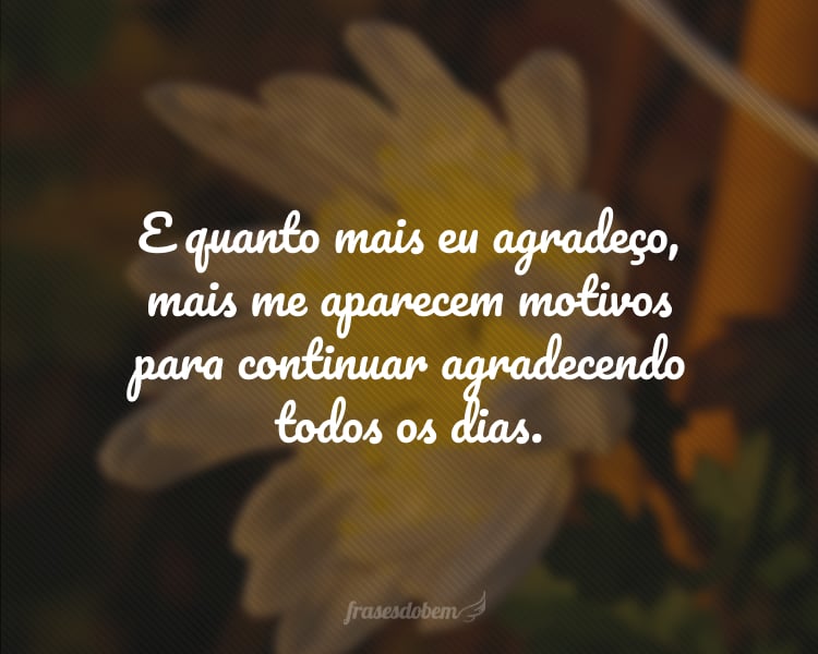 E quanto mais eu agradeço, mais me aparecem motivos para continuar agradecendo todos os dias.