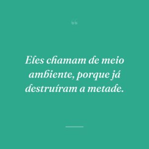 Eles chamam de meio ambiente, porque já destruíram a metade.