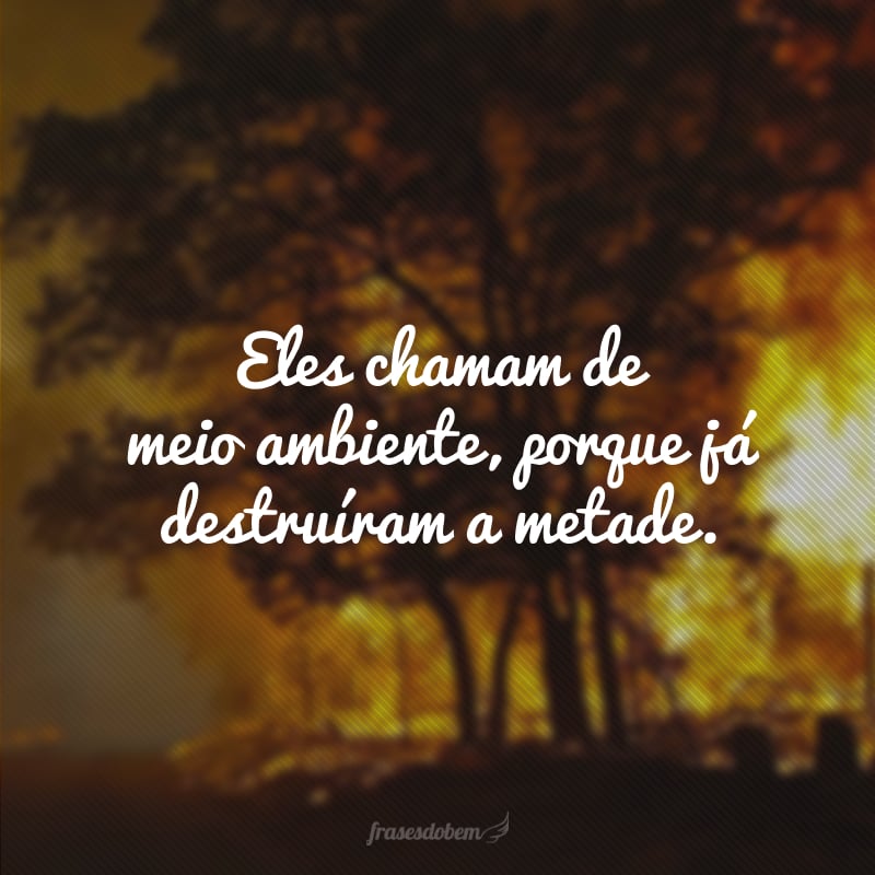 Eles chamam de meio ambiente, porque já destruíram a metade.