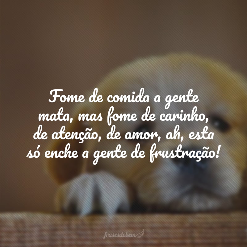 Fome de comida a gente mata, mas fome de carinho, de atenção, de amor, ah, esta só enche a gente de frustração!