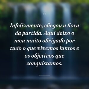 Infelizmente, chegou a hora da partida. Aqui deixo o meu muito obrigado por tudo o que vivemos juntos e os objetivos que conquistamos.