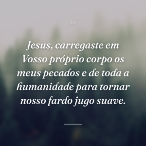 Jesus, carregaste em Vosso próprio corpo os meus pecados e de toda a humanidade para tornar nosso fardo jugo suave.
