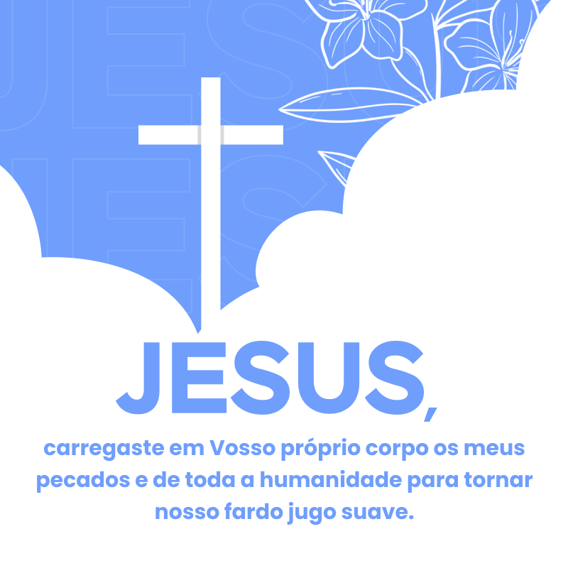 Jesus, carregaste em Vosso próprio corpo os meus pecados e de toda a humanidade para tornar nosso fardo jugo suave.