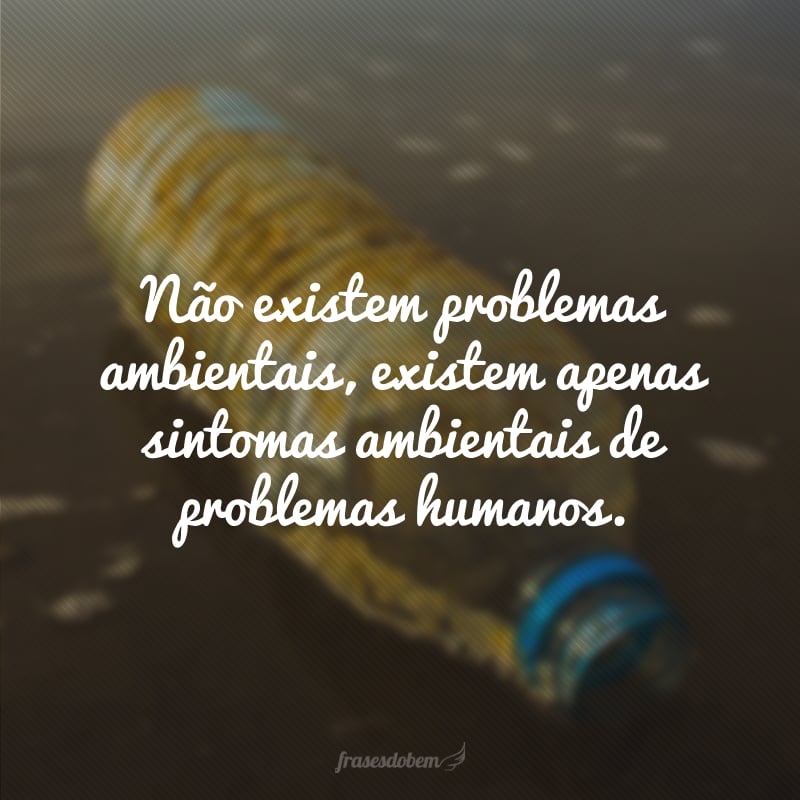 Não existem problemas ambientais, existem apenas sintomas ambientais de problemas humanos.