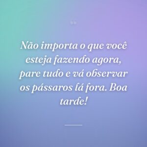 Não importa o que você esteja fazendo agora, pare tudo e vá observar os pássaros lá fora. Boa tarde!