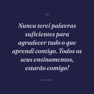 Nunca terei palavras suficientes para agradecer tudo o que aprendi contigo. Todos os seus ensinamentos, estarão comigo!