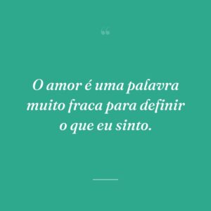 O amor é uma palavra muito fraca para definir o que eu sinto.