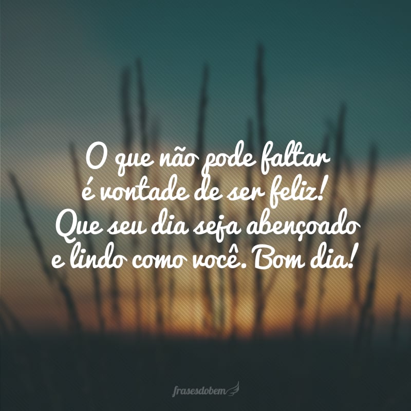 O que não pode faltar é vontade de ser feliz! Que seu dia seja abençoado e lindo como você. Bom dia!