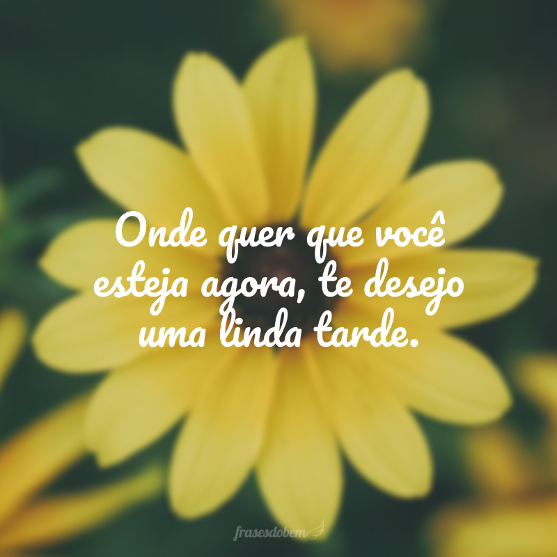 Onde quer que você esteja agora, te desejo uma linda tarde.