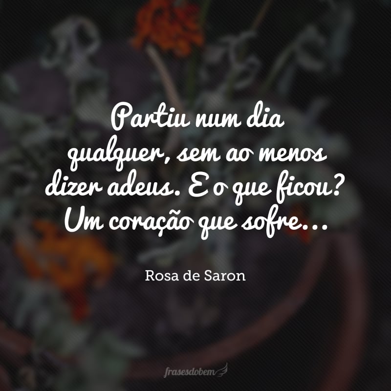 Partiu num dia qualquer, sem ao menos dizer adeus. E o que ficou? Um coração que sofre...