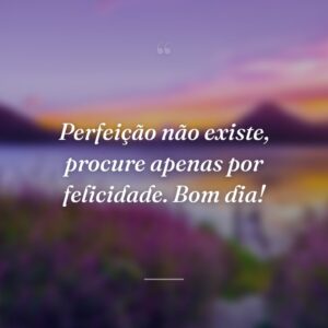 Perfeição não existe, procure apenas por felicidade. Bom dia!
