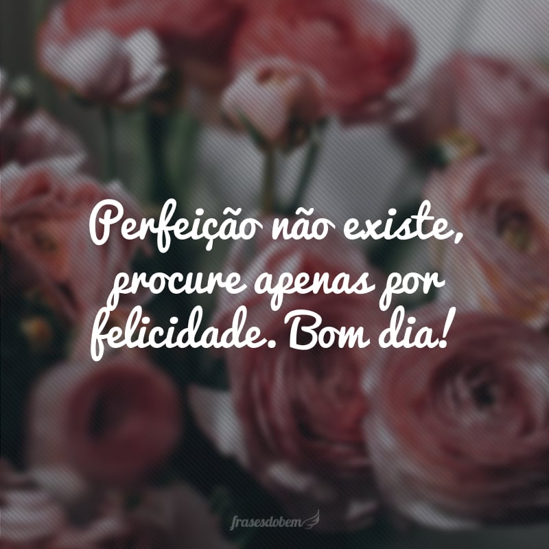 Perfeição não existe, procure apenas por felicidade. Bom dia!