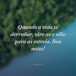 Quando a vida te derrubar, vire-se e olhe para as estrela. Boa noite!