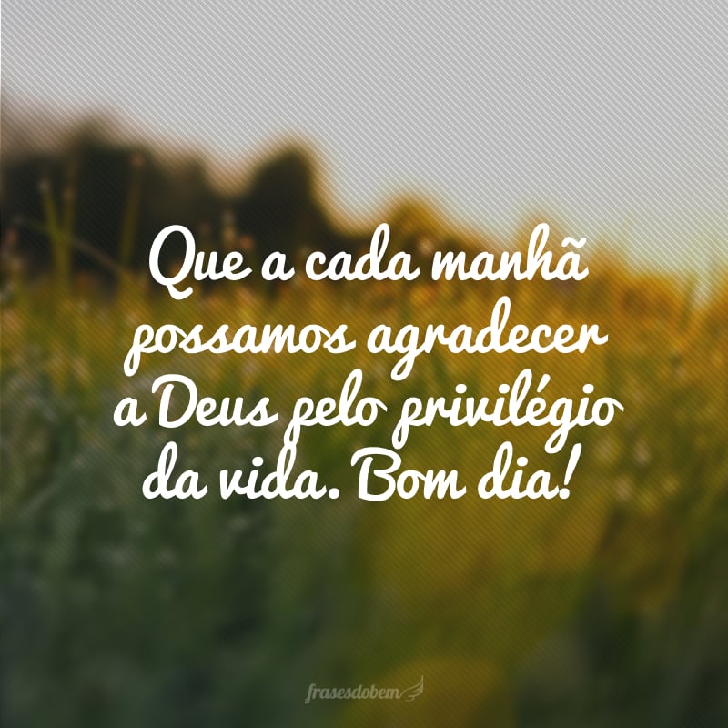 Que a cada manhã possamos agradecer a Deus pelo privilégio da vida. Bom dia!