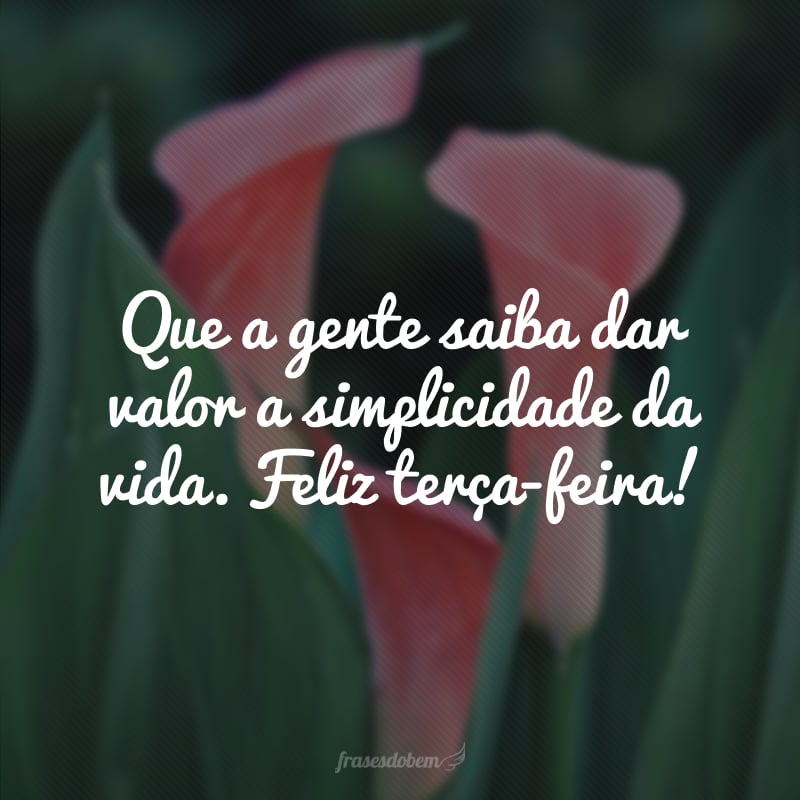 Que a gente saiba dar valor a simplicidade da vida. Feliz terça-feira!