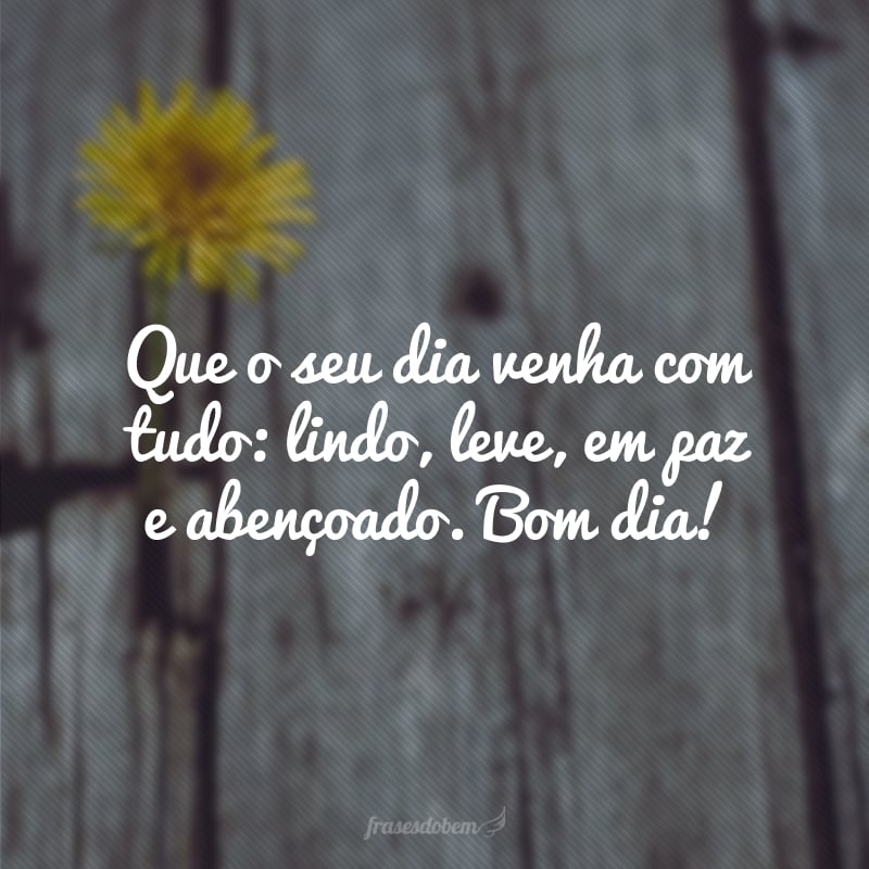 Que o seu dia venha com tudo: lindo, leve, em paz e abençoado. Bom dia!