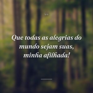 Que todas as alegrias do mundo sejam suas, minha afilhada!