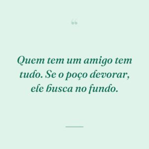 Quem tem um amigo tem tudo. Se o poço devorar, ele busca no fundo.