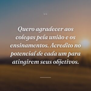 Quero agradecer aos colegas pela união e os ensinamentos. Acredito no potencial de cada um para atingirem seus objetivos.