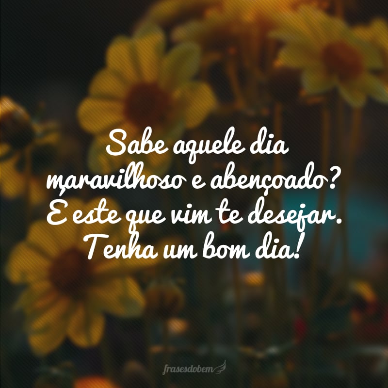 Sabe aquele dia maravilhoso e abençoado? É este que vim te desejar. Tenha um bom dia!