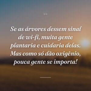 Se as árvores dessem sinal de wi-fi, muita gente plantaria e cuidaria delas. Mas como só dão oxigênio, pouca gente se importa!