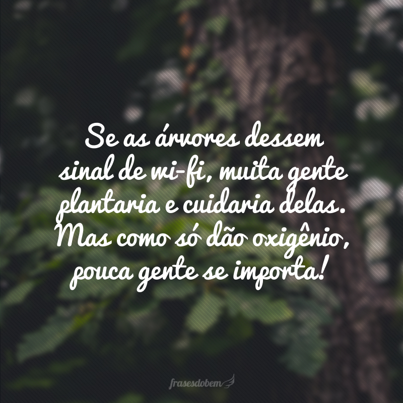 Se as árvores dessem sinal de wi-fi, muita gente plantaria e cuidaria delas. Mas como só dão oxigênio, pouca gente se importa!