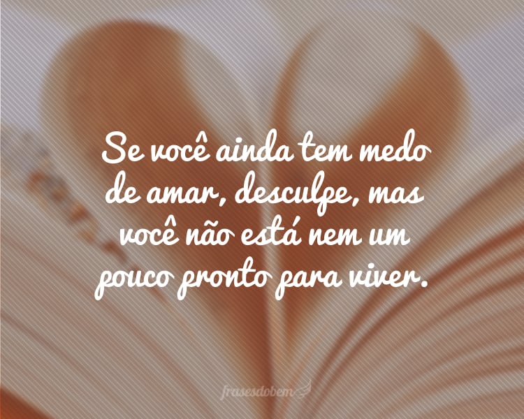 Se você ainda tem medo de amar, desculpe, mas você não está nem um pouco pronto para viver.