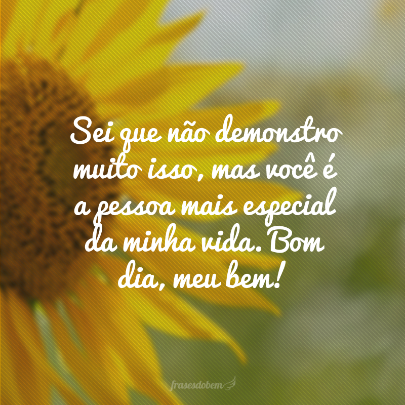 Sei que não demonstro muito isso, mas você é a pessoa mais especial da minha vida. Bom dia, meu bem!