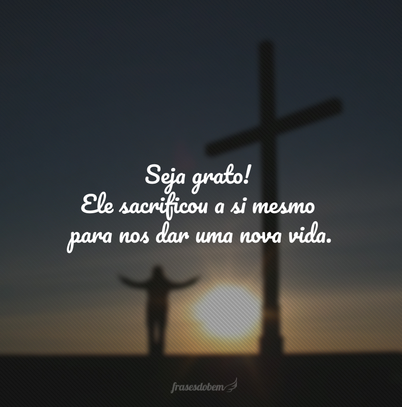 Seja grato! Ele sacrificou a si mesmo para nos dar uma nova vida. 