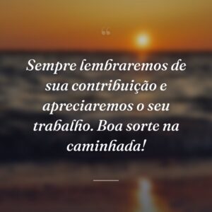Sempre lembraremos de sua contribuição e apreciaremos o seu trabalho. Boa sorte na caminhada!