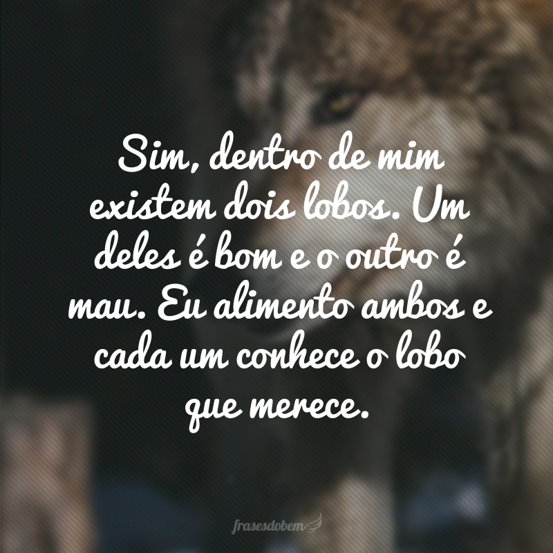 Sim, dentro de mim existem dois lobos. Um deles é bom e o outro é mau. Eu alimento ambos e cada um conhece o lobo que merece.