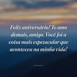 Feliz aniversário! Te amo demais, amigo. Você foi a coisa mais espetacular que aconteceu na minha vida!