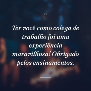 Ter você como colega de trabalho foi uma experiência maravilhosa! Obrigado pelos ensinamentos.