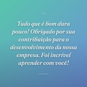 Tudo que é bom dura pouco! Obrigado por sua contribuição para o desenvolvimento da nossa empresa. Foi incrível aprender com você!