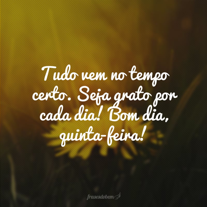 Tudo vem no tempo certo. Seja grato por cada dia! Bom dia, quinta-feira!