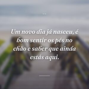 Um novo dia já nasceu, é bom sentir os pés no chão e saber que ainda estás aqui.