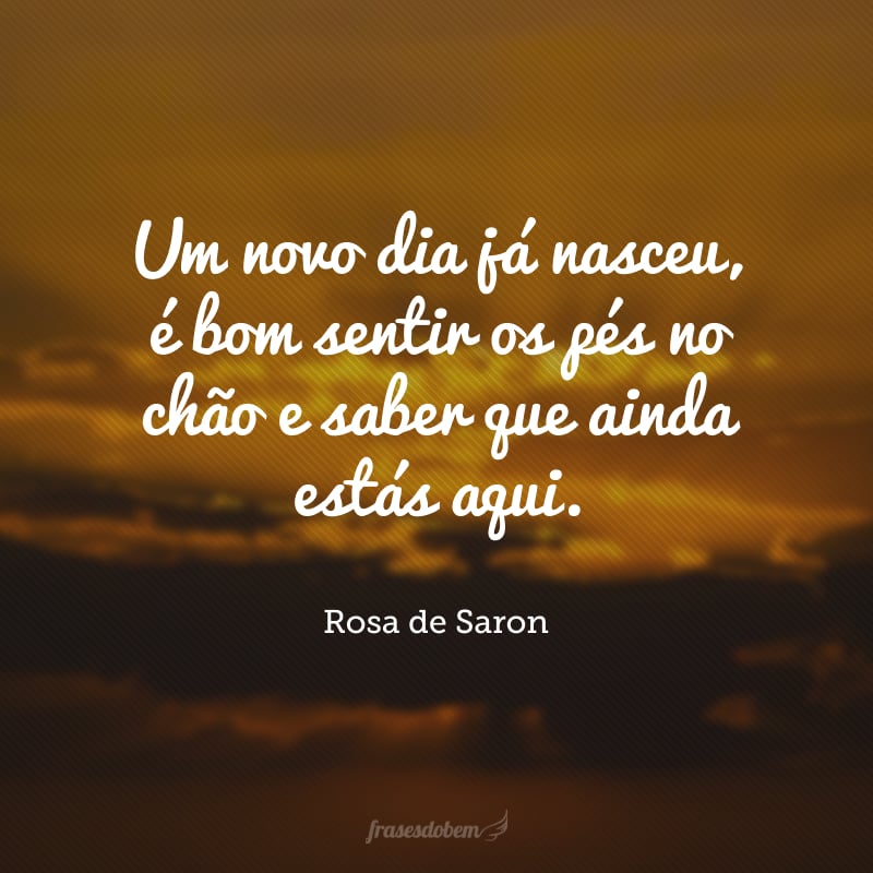 Um novo dia já nasceu, é bom sentir os pés no chão e saber que ainda estás aqui.