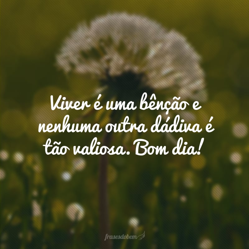 Viver é uma bênção e nenhuma outra dádiva é tão valiosa. Bom dia!