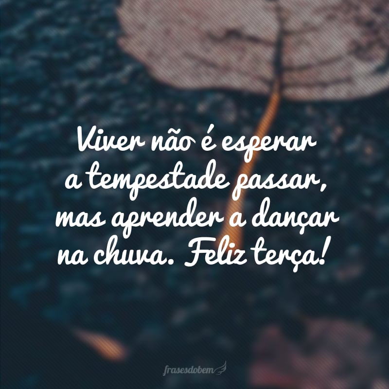 Viver não é esperar a tempestade passar, mas aprender a dançar na chuva. Feliz terça!