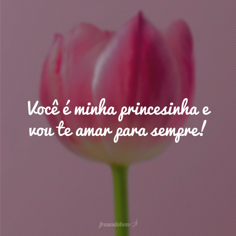 Você é minha princesinha e vou te amar para sempre!